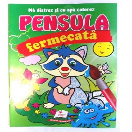 Волшебная кисть - Енот 25229