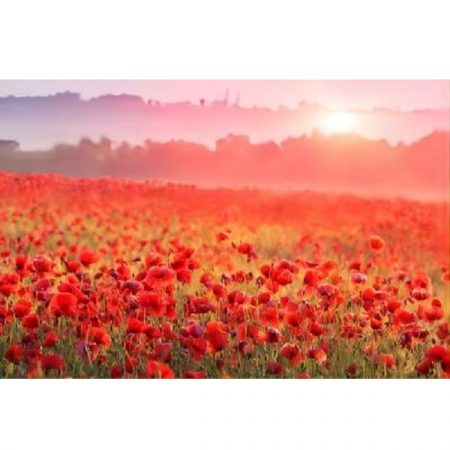 Набор для рисования по номерам Маки (30*40) 58023