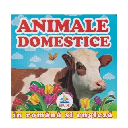 Первые понятия - Домашние животные 34959