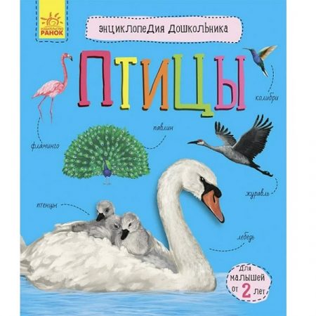 Энциклопедия для дошкольников: Птицы - 51 140