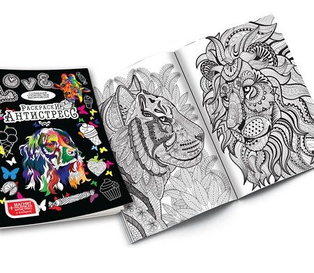 Набор для творчества (ANTISTRESS DRAWINGS) для раскрашивания 16 363