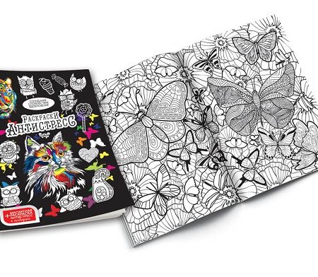 Набор для творчества (АНТИСТРЕССОВЫЕ РИСУНКИ) с мелками 16 364
