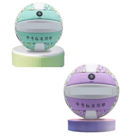 Мяч волейбольный 67034